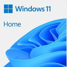 MICROSOFT MS OEM Windows 11 Home