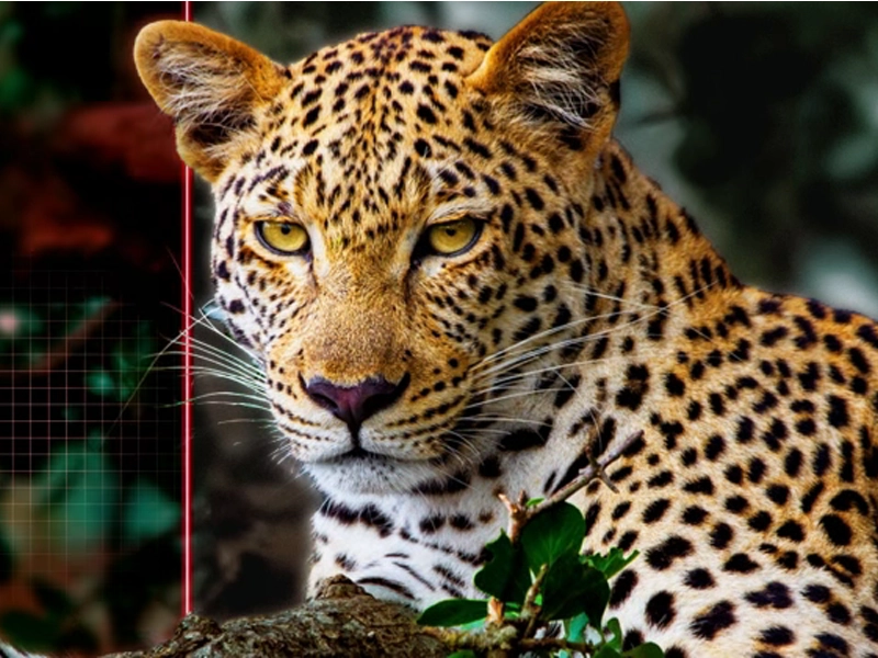 LG_OLED83G54LW ai obraz