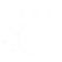 Ikona
