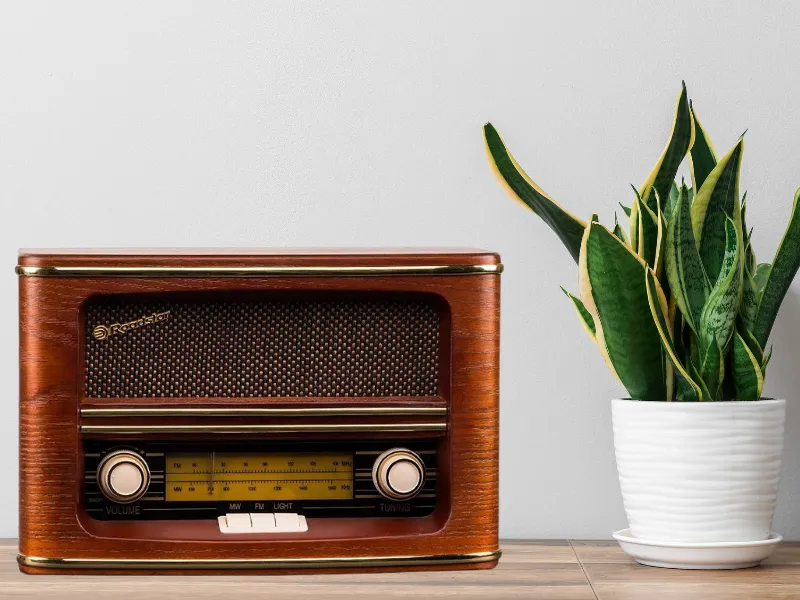 Vintage drevený dizajn rádia Roadstar HRA-1500/N vás očarí.