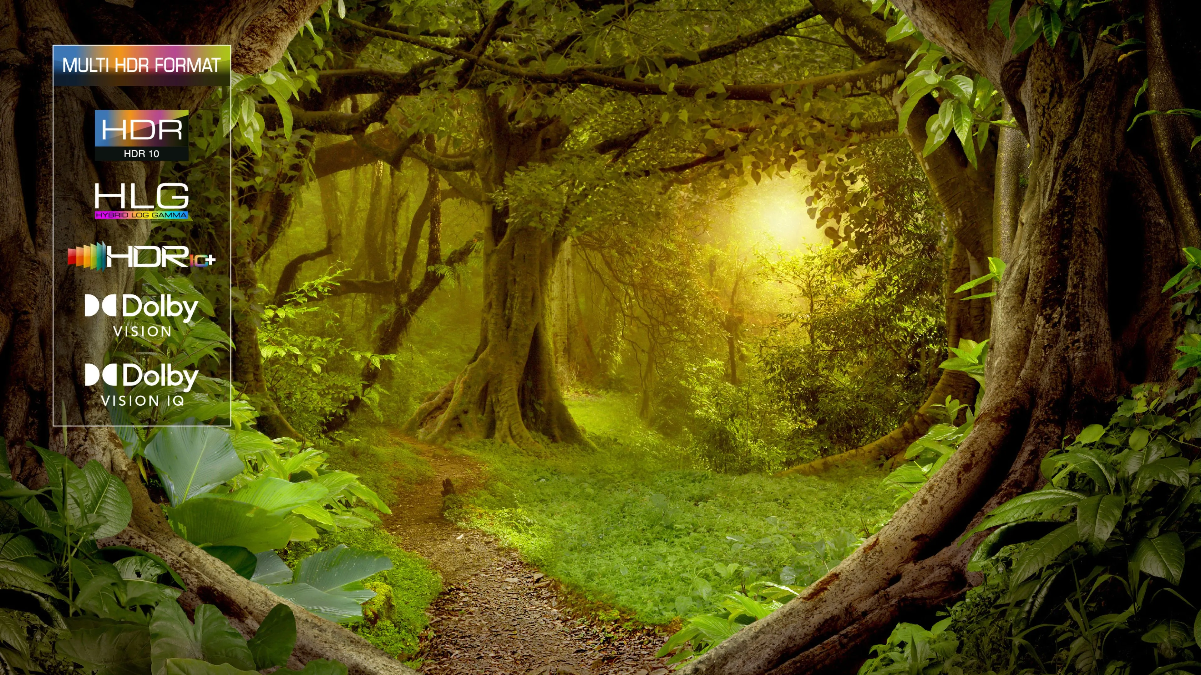 HDR MULTIFORMAT
