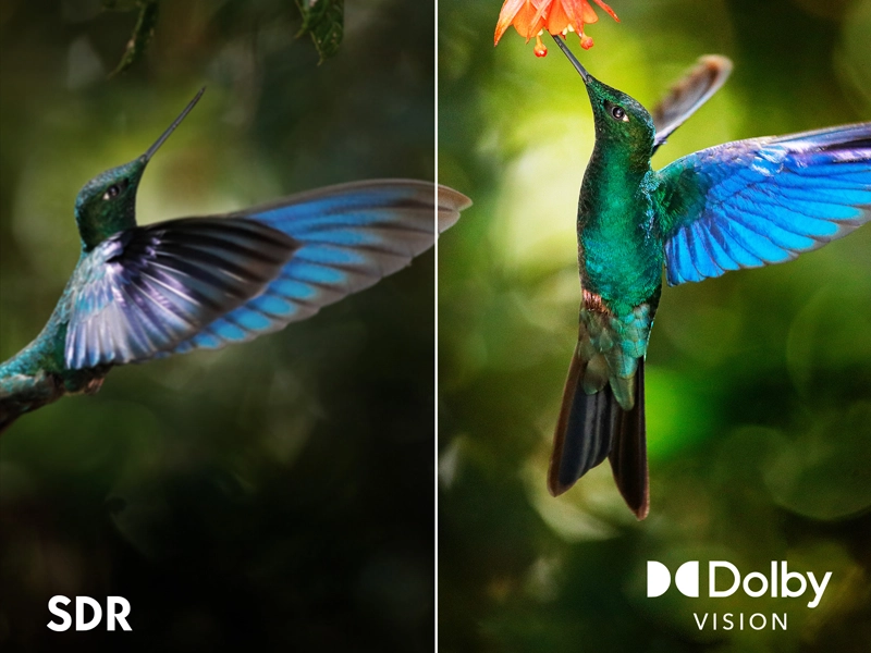 Thomson_50QG5C14 dolby vision