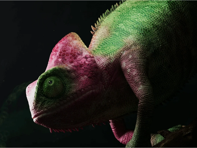 Technológie a algoritmy televízora Xiaomi TV S mini LED definujú novú realitu obrazu.