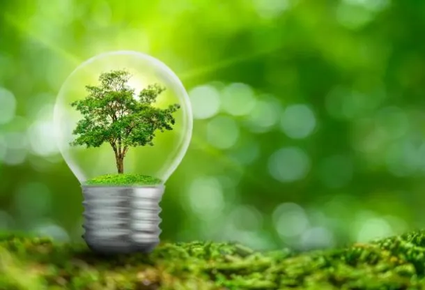 21_73_11zon_1722254494