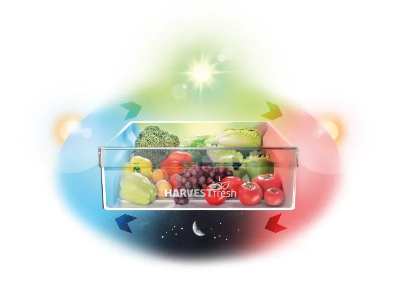 Viac chuti, viac vitamínov s HarvestFresh v Beko BCNA306E4SN