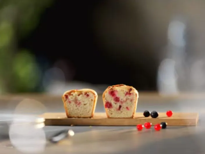 1_1_11zon_1736198011