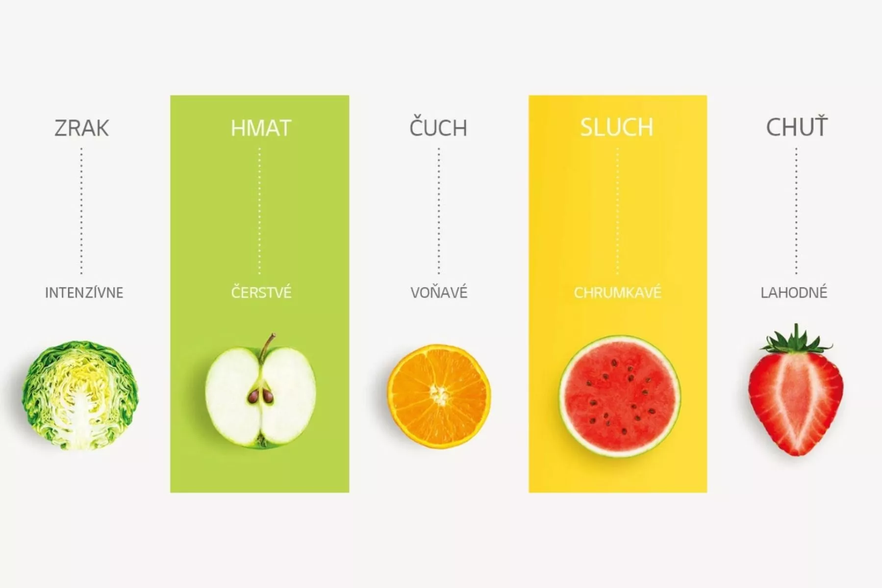 fresh-lg-chaldnicka_1686564085
