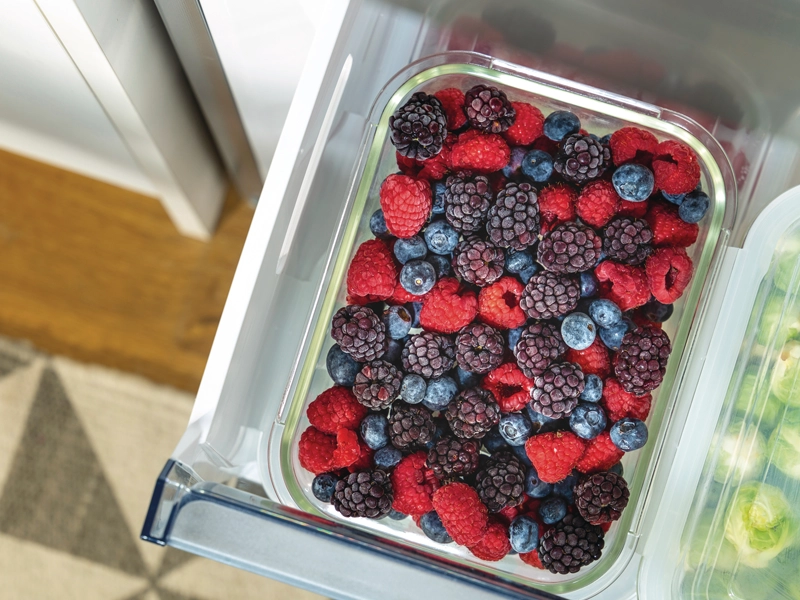 gorenje_fast_freeze_mraznicka