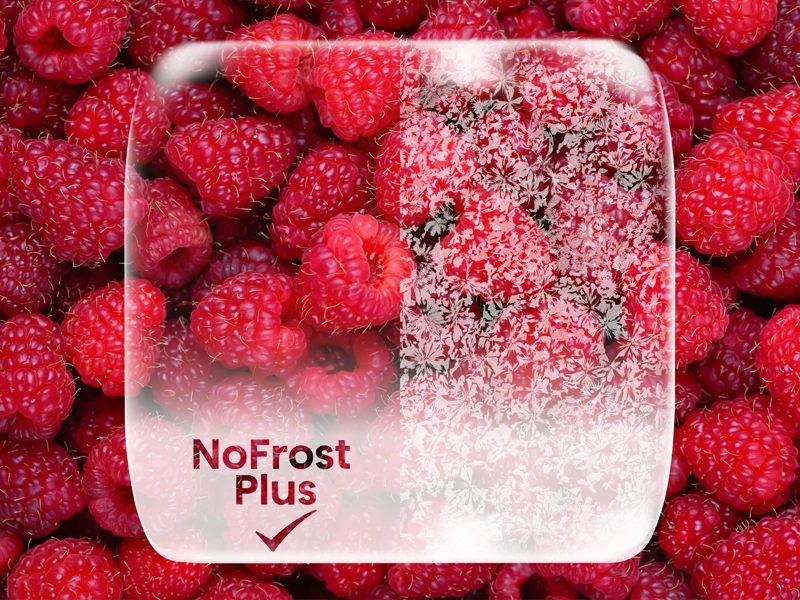 gorenje no frost plus