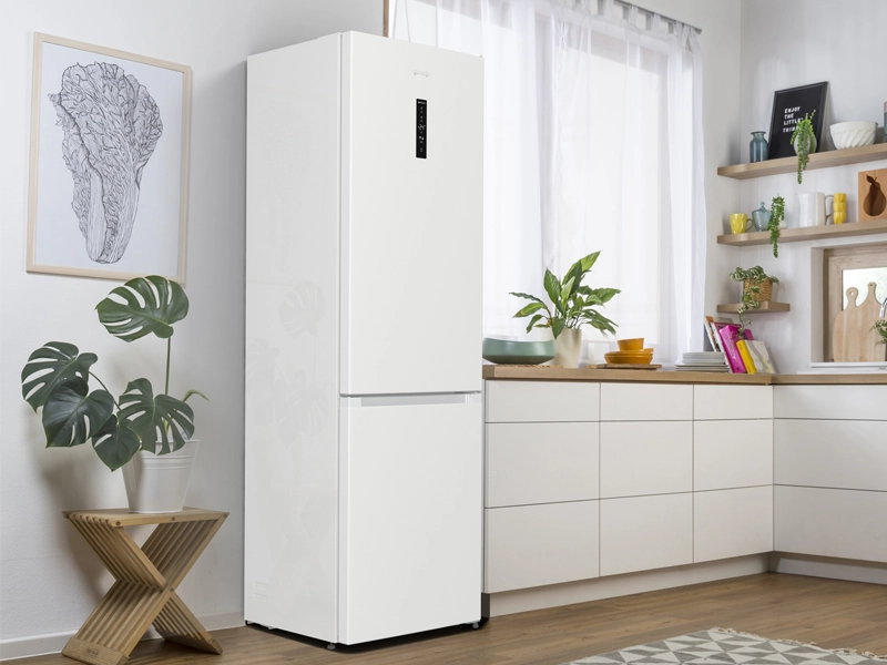 Gorenje_NFB62CA2W4_kombinovana_chladnicka