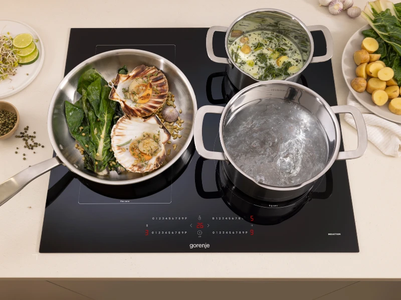 Gorenje_opti_zone
