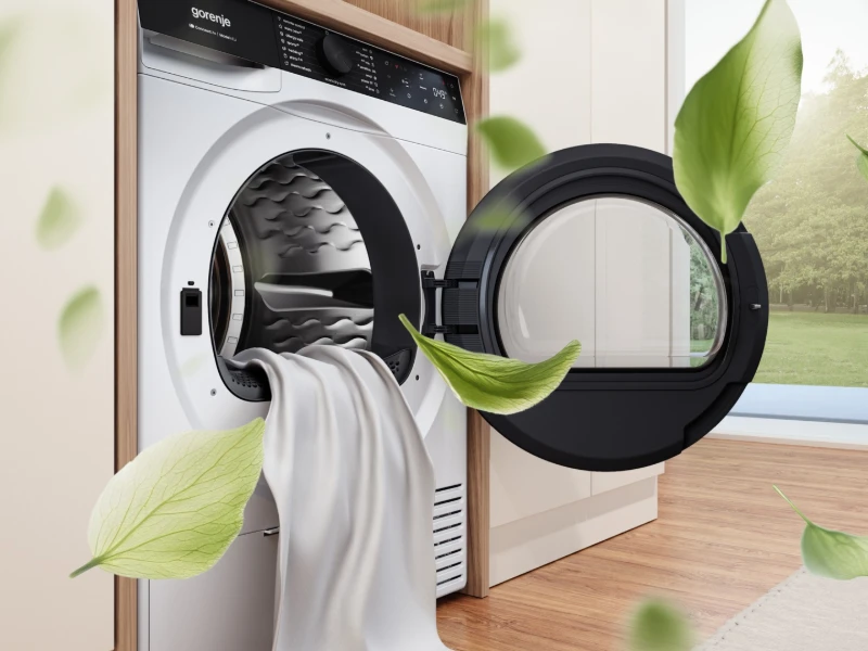 Gorenje_DF69B_r290