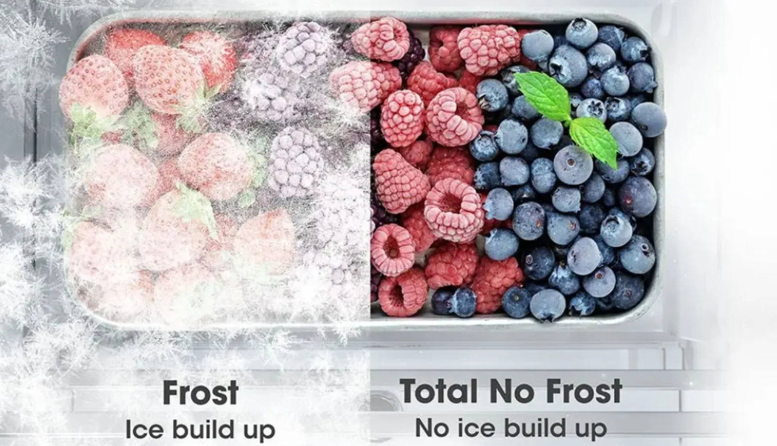 Total No Frost