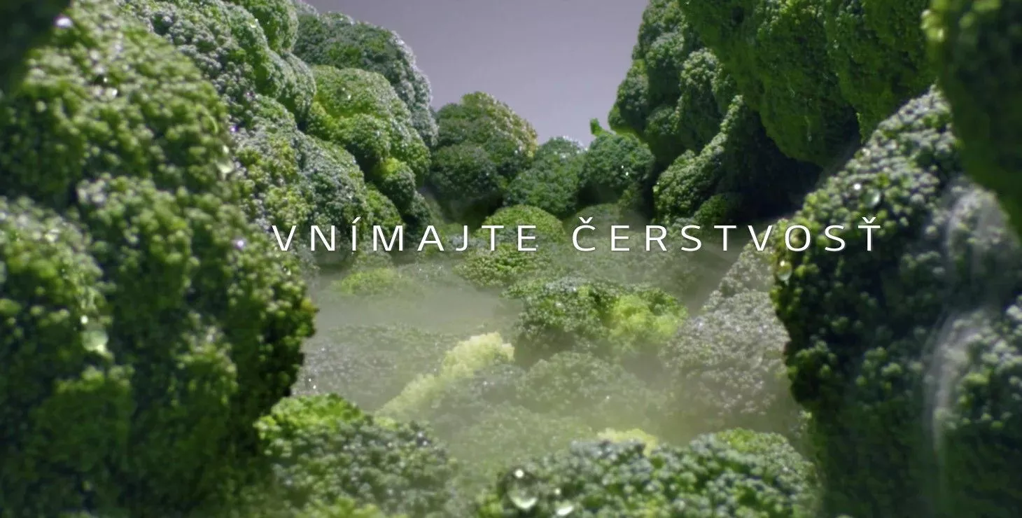 vnimajte-cerstvost_Kombinovana-chladnicka-s-mraznickou-LG-GBP62PZNBC