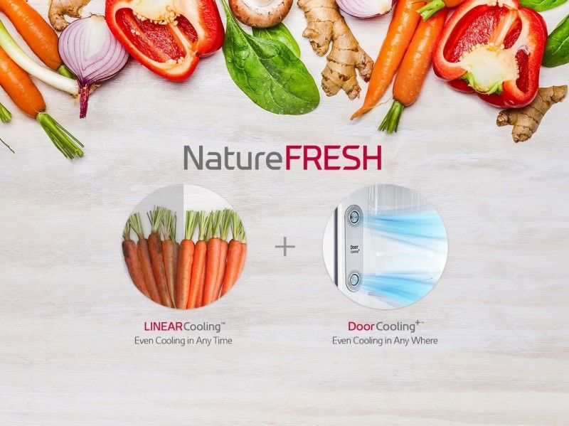 Kombinovaná chladnička LG a funkciou NatureFresh