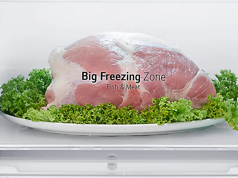 LG_GBV3100ASW bif freezing