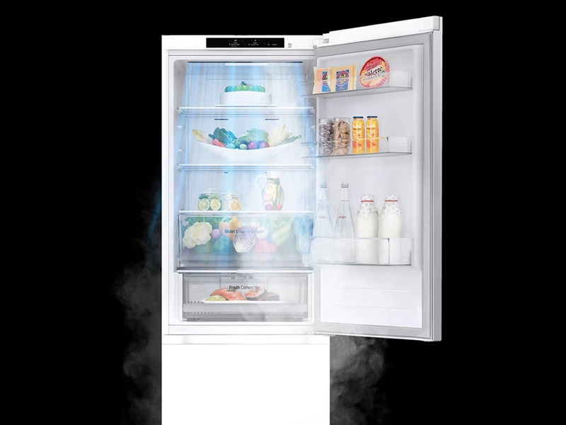 LG_GBV3100ASW door cooling
