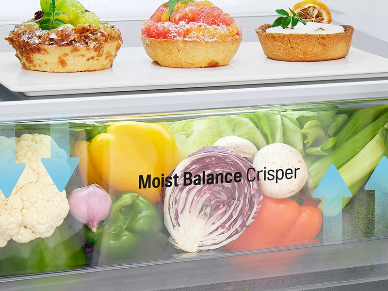 LG_GBV3100ASW moist balance