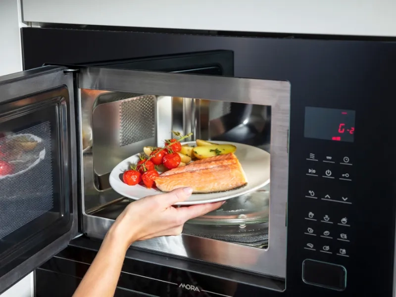 MORA_mikrovlny
