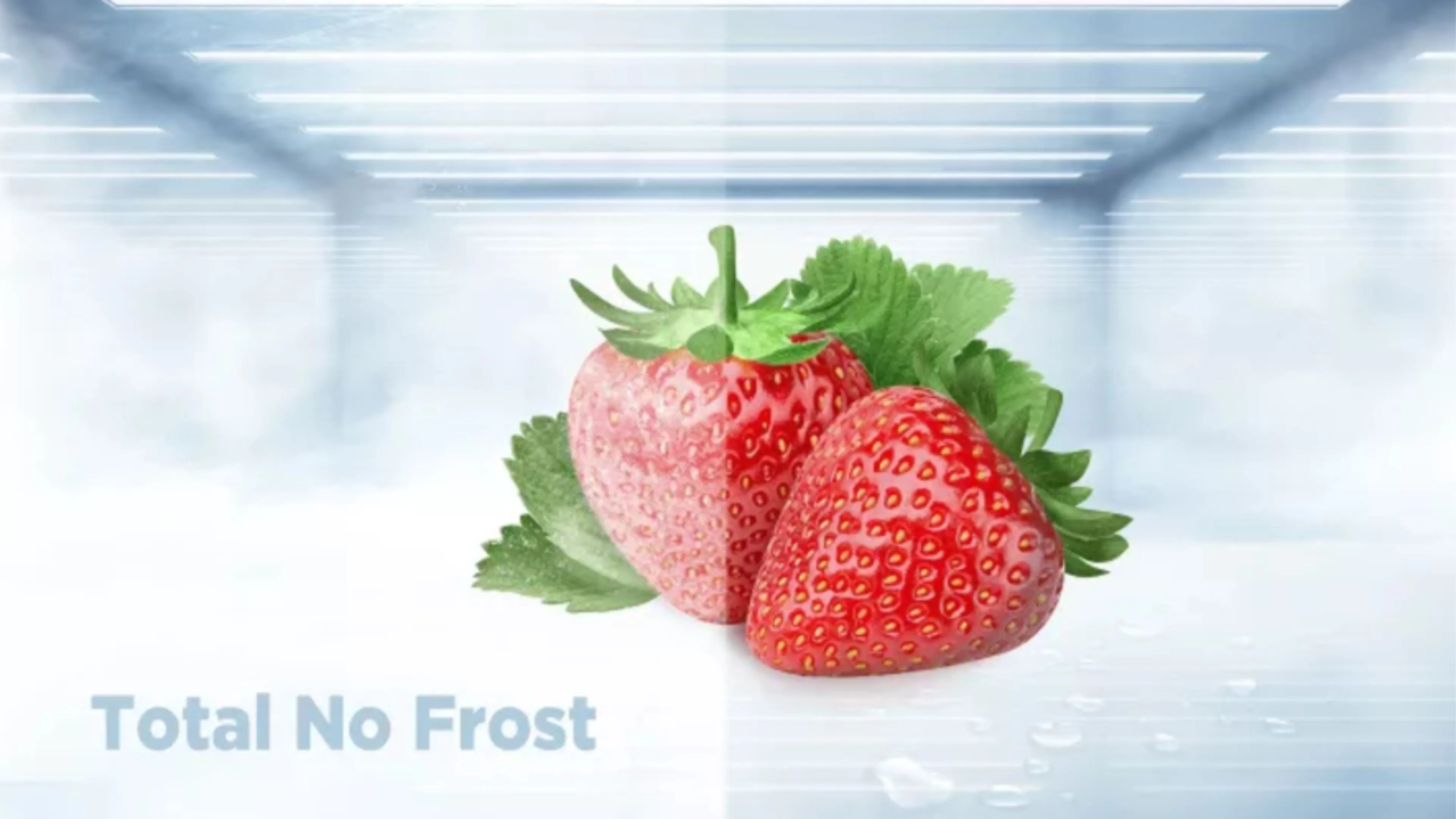 Total No Frost