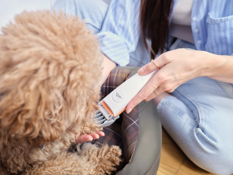 ETA_421690000_PET_MASTER_6v1 strihanie