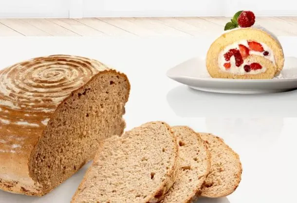 1_1_11zon_1733478962