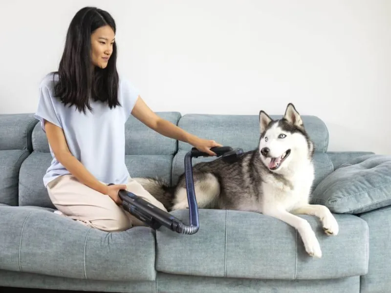 Vďaka špeciálnemu príslušenstvu Pet Beauty Care, ktoré nájdete v balení vysávača Scoba 2100 sa starostlivosť o zvieraciu srsť stane hračkou.