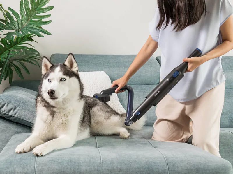 Vďaka špeciálnemu príslušenstvu Pet Beauty Care, ktoré nájdete v balení vysávača Conga Rockstar Micro + Animal sa starostlivosť o zvieraciu srsť stane hračkou.