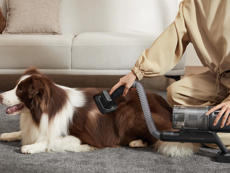 Dreame_Z30 kefa na zvieratá