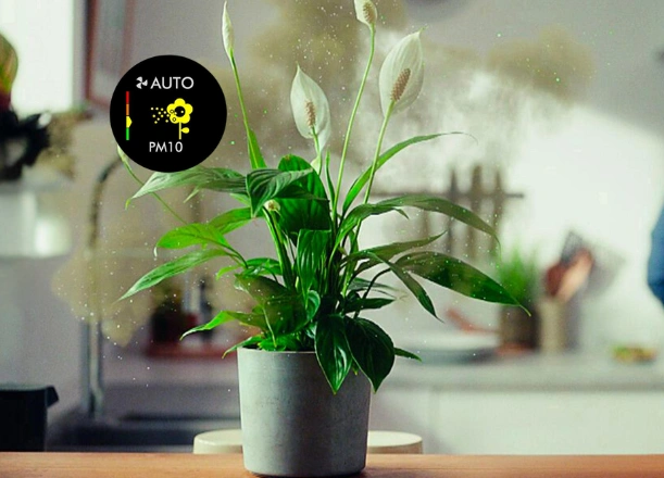 Čistička vzduchu Dyson Purifier Cool PC2 De-Nox znižuje vaše vystavenie sa podobným alergénom, takže vy a vaša rodina môžete dýchať čistejší vzduch.