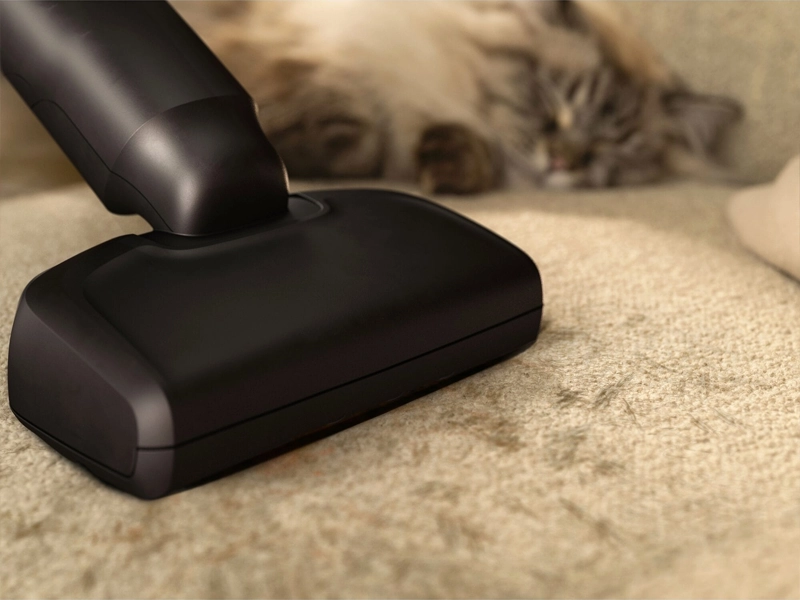 Electrolux_EP61AB21UG_600_Animal_hubica pet pro