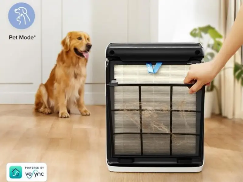 levoit_vital_100s_pro_pet