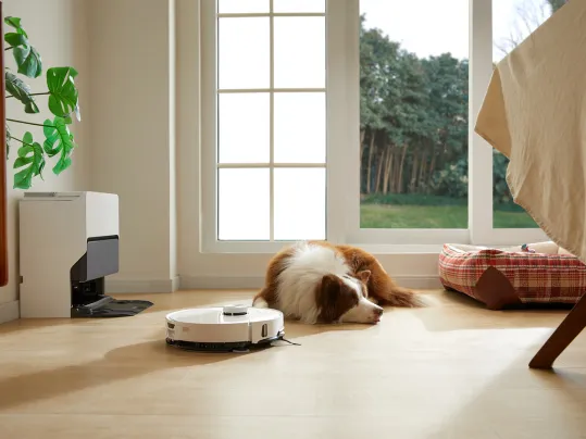 Vďaka online video pripojeniu vysávača Roborock S8 MaxV Ultra white budete vždy vedieť, ako sa vašim domácim miláčikom doma darí.