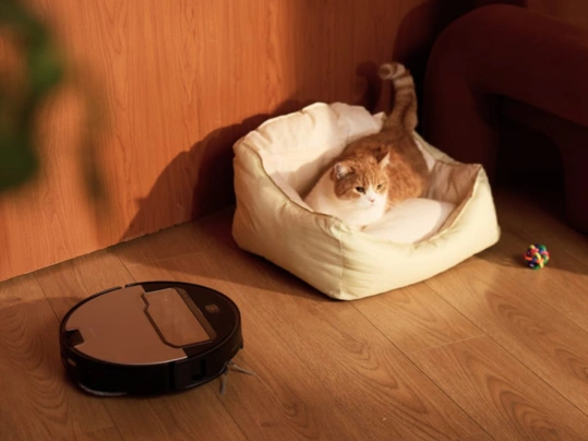 Pomocou aplikácie Roborock a vysávača Roborock Saros Z70 môžete kontrolovať vaše domáce zvieratá.