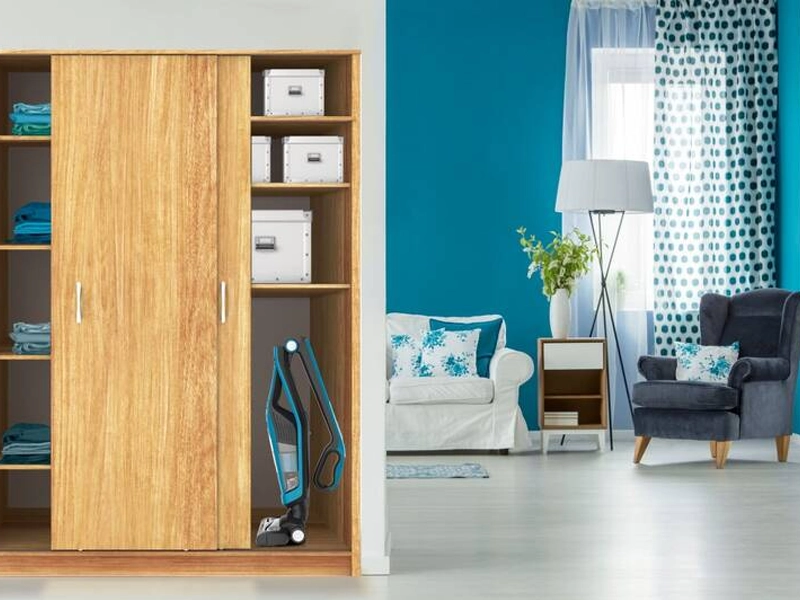 Rowenta_dual_force_2v1 skladacia