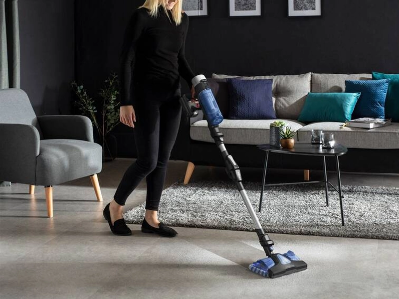 Rowenta_xforce_flex_9.60 ultralahky