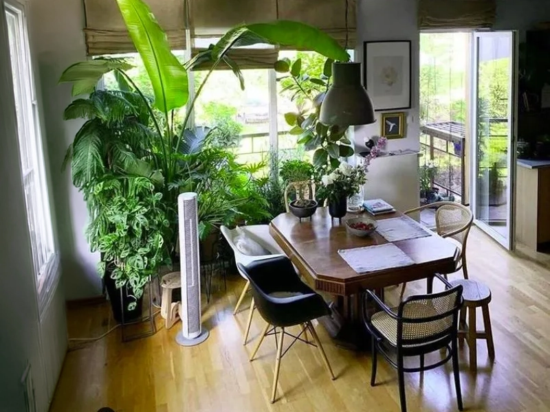Stadlerform_peter_black_natural_breeze