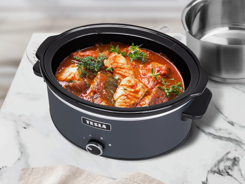 Tesla_S500_SlowCook_gulas_1777391188