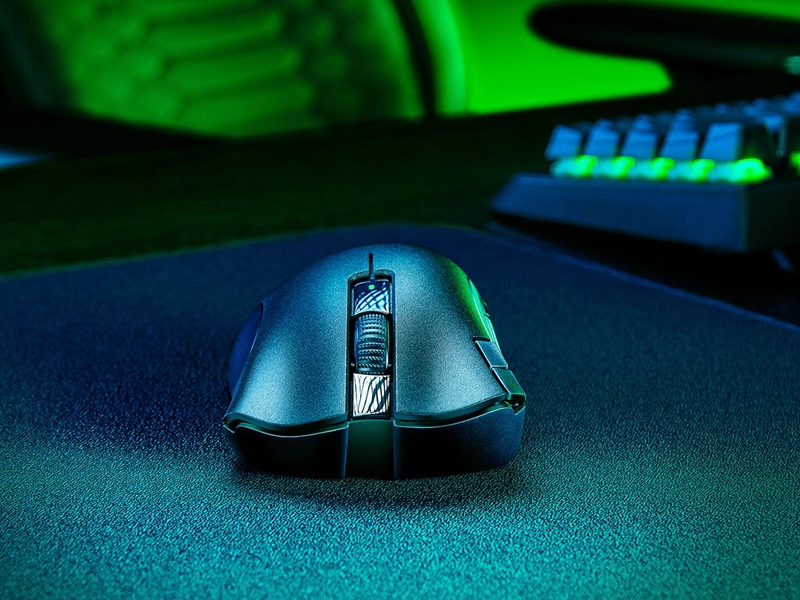 Razer_Deathadder_V2X switche