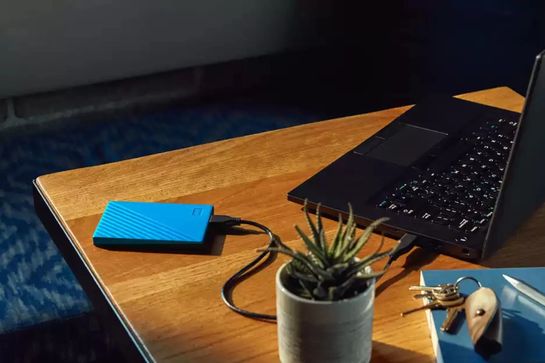 Extern&yacute; HDD disk WD My Passport BK 4TB zalohovanie ochrana dat