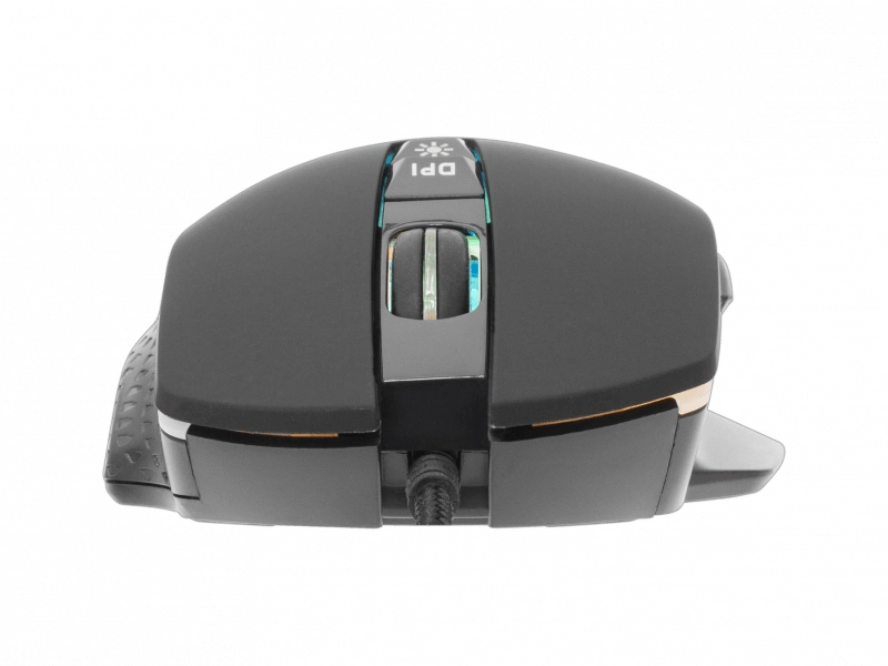 White_shark_gareth_tlacidla 2