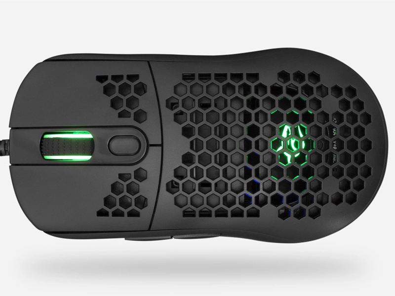 White_shark_galahad_herna_mys