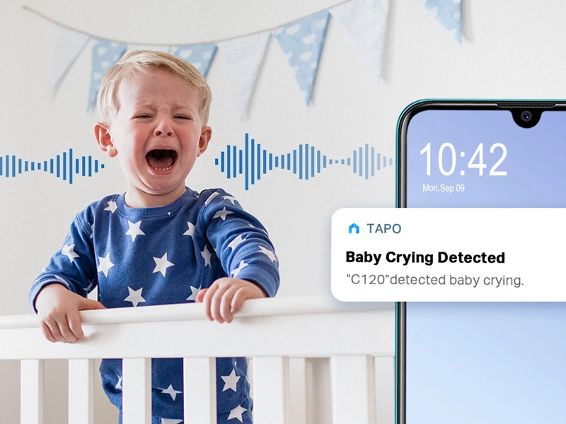 Tp-Link_TapoC120 detekcia plaču