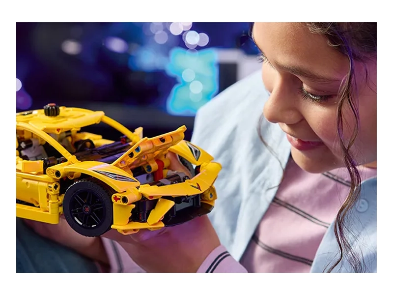 LEGO 42205.