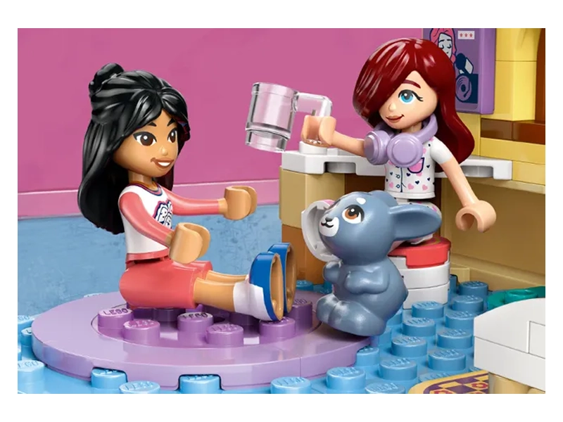 LEGO Friends 42647.