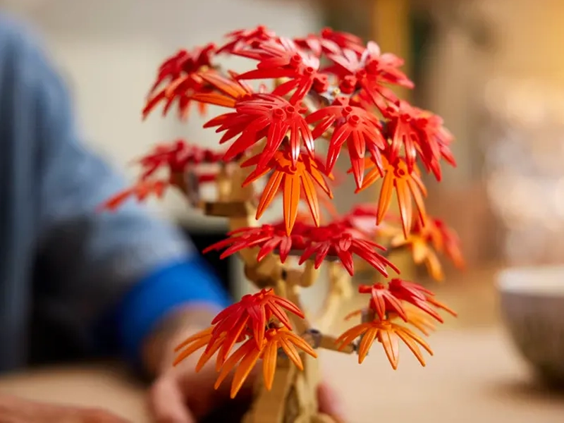 LEGO Botanicals 10348 Bonsaj &ndash; Japonsk&yacute; červen&yacute; javor