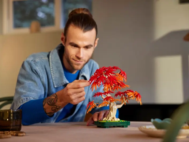 LEGO Botanicals Bonsaj &ndash; Japonsk&yacute; červen&yacute; javor