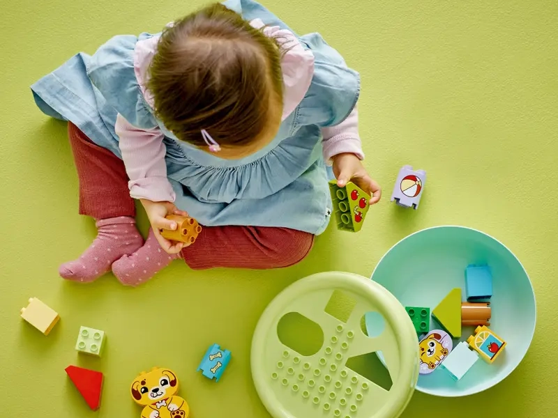 LEGO DUPLO 10441 Triedenie tvarov: Domček pre šteniatka