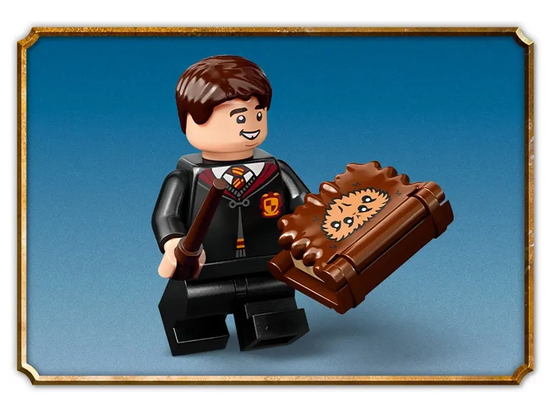 LEGO® Harry Potter™ 76449