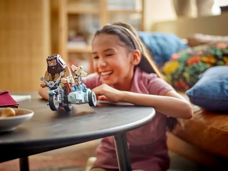 LEGO HARRY POTTER 76443.